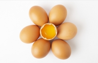 Kuş gribi salgını ve enflasyon, ABD'de yumurta...