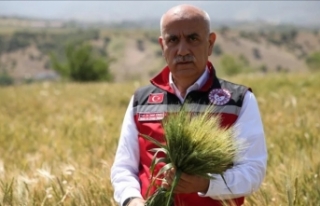 Bakan Kirişci: Buğdayda beklenen 21 milyon ton rekolte...
