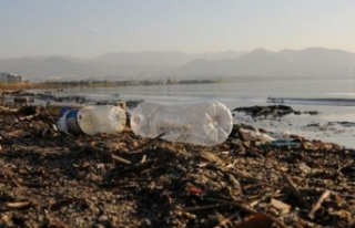 İzmir Körfezi için kirlilik uyarısı