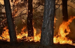 Türkiye'nin en büyük orman yangınlarında...