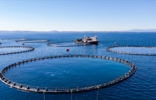 Türkiye'nin su ürünleri üretimi 2022'de...