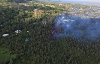 Hawaii'de devam eden orman yangınlarında 36...