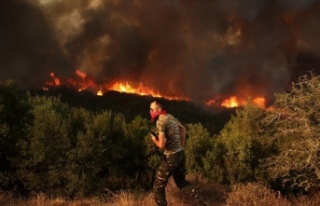 Yunanistan'daki yangınların 13'üncü...