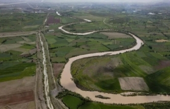 Karasu Nehri çevresi ilkbahar yağışlarıyla yeşile büründü