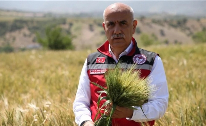 Bakan Kirişci: Buğdayda beklenen 21 milyon ton rekolte Türkiye'nin ihtiyacının karşılanması noktasında yeterli
